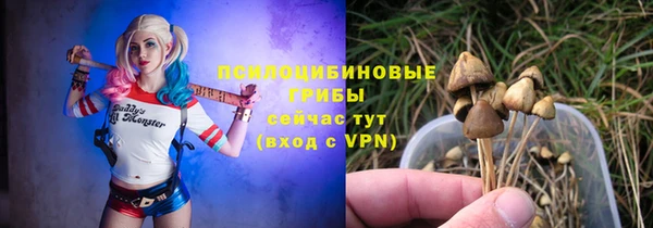 трава Абдулино